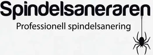 Spindelsaneraren